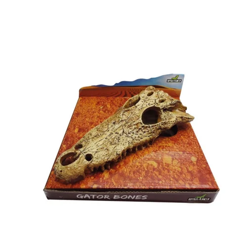 Décor pour terrarium en résine coloris beige tête d'alligator Reptile Planet Gator Bones