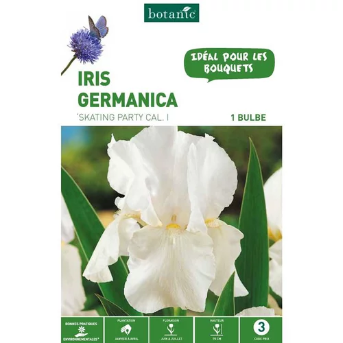Iris Germanica Skating Party blanc botanic® - 5 bulbes