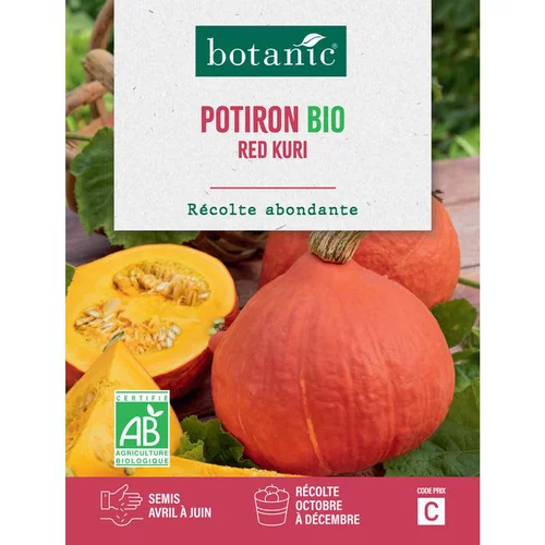 Graines de potiron red kuri potimarron bio botanic® - graines à semer