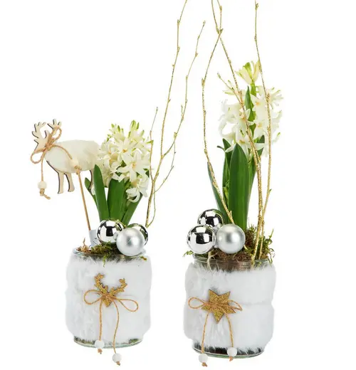 Jacinthe x 1 pot fourrure - Ø 8 cm
