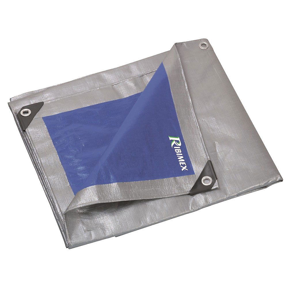 Bâche de protection Pro 6 × 10 250 g/m2