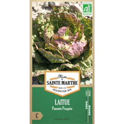 Graines de Laitue pommée Pasquier bio Ferme de Sainte Marthe - graines à semer