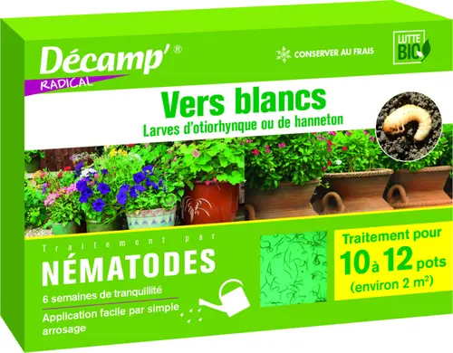 Nématodes contre vers blancs 10 plantes