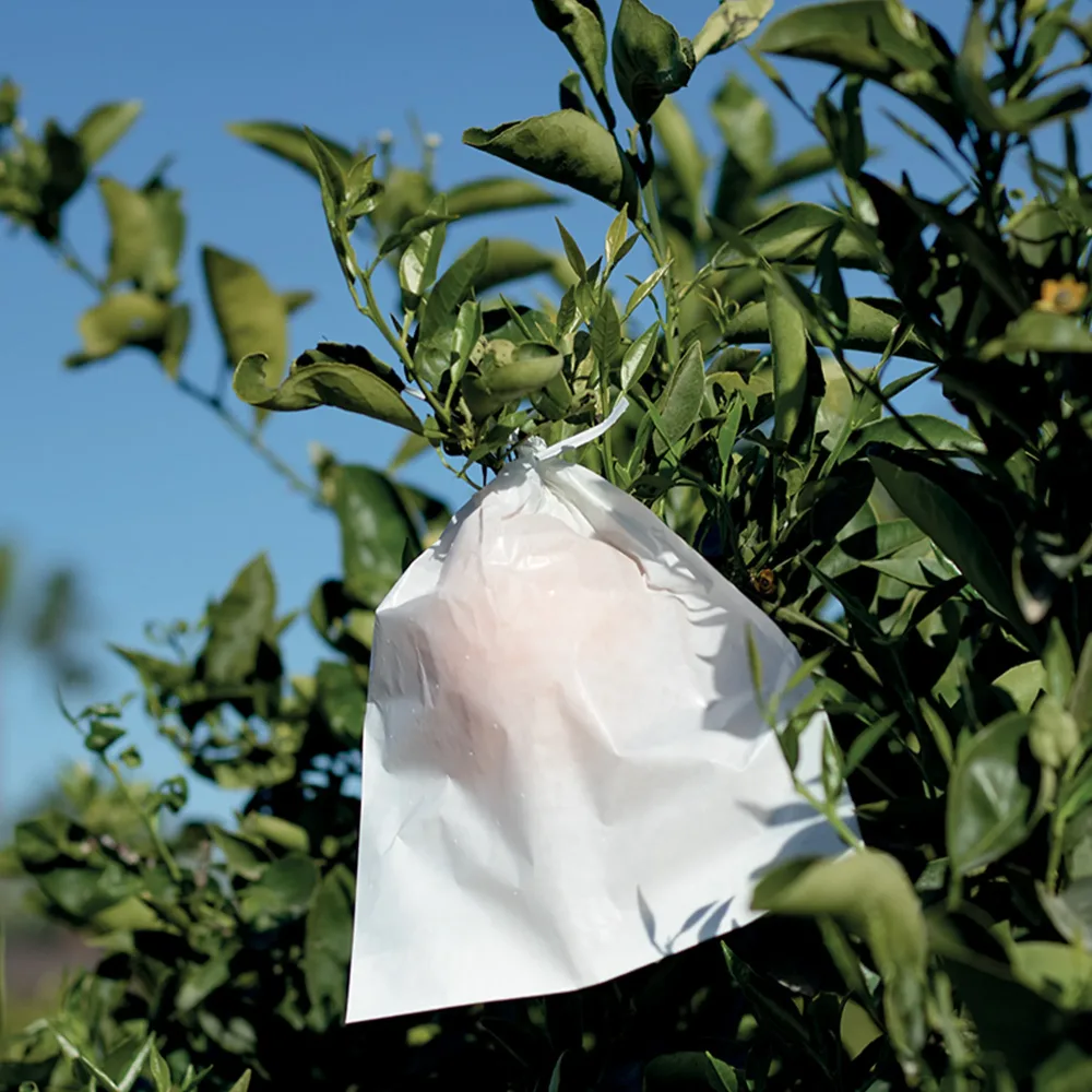 Housse à fruits - Fruitsac