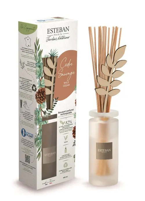 Bouquet parfumé initial avec recharge Cèdre sauvage Esteban - 100 ml