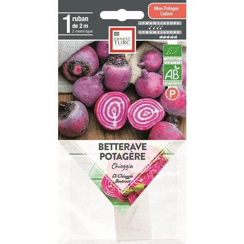 Graines présemées de Betterave potagère Chioggia bio Ernest Turc - 1 ruban de 2 m