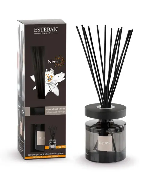 Bouquet parfumé et recharge Esteban Ellipse marron parfum Néroli - 200 ml