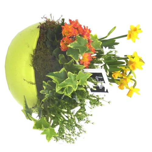 Coupe de plantes en assortiment pour extérieur