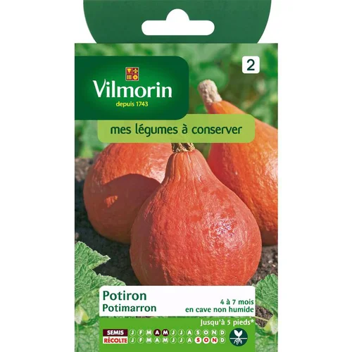 Potiron potimarron Vilmorin - graines à semer