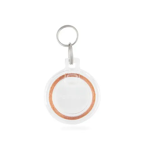 Clé de chatière pour puce électronique coloris blanc PetSafe