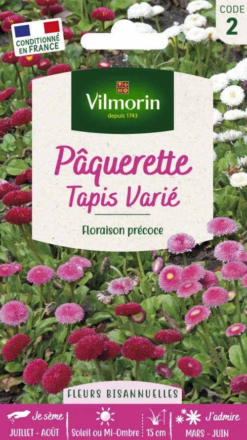 Pâquerette Tapis varié Vilmorin - graines à semer