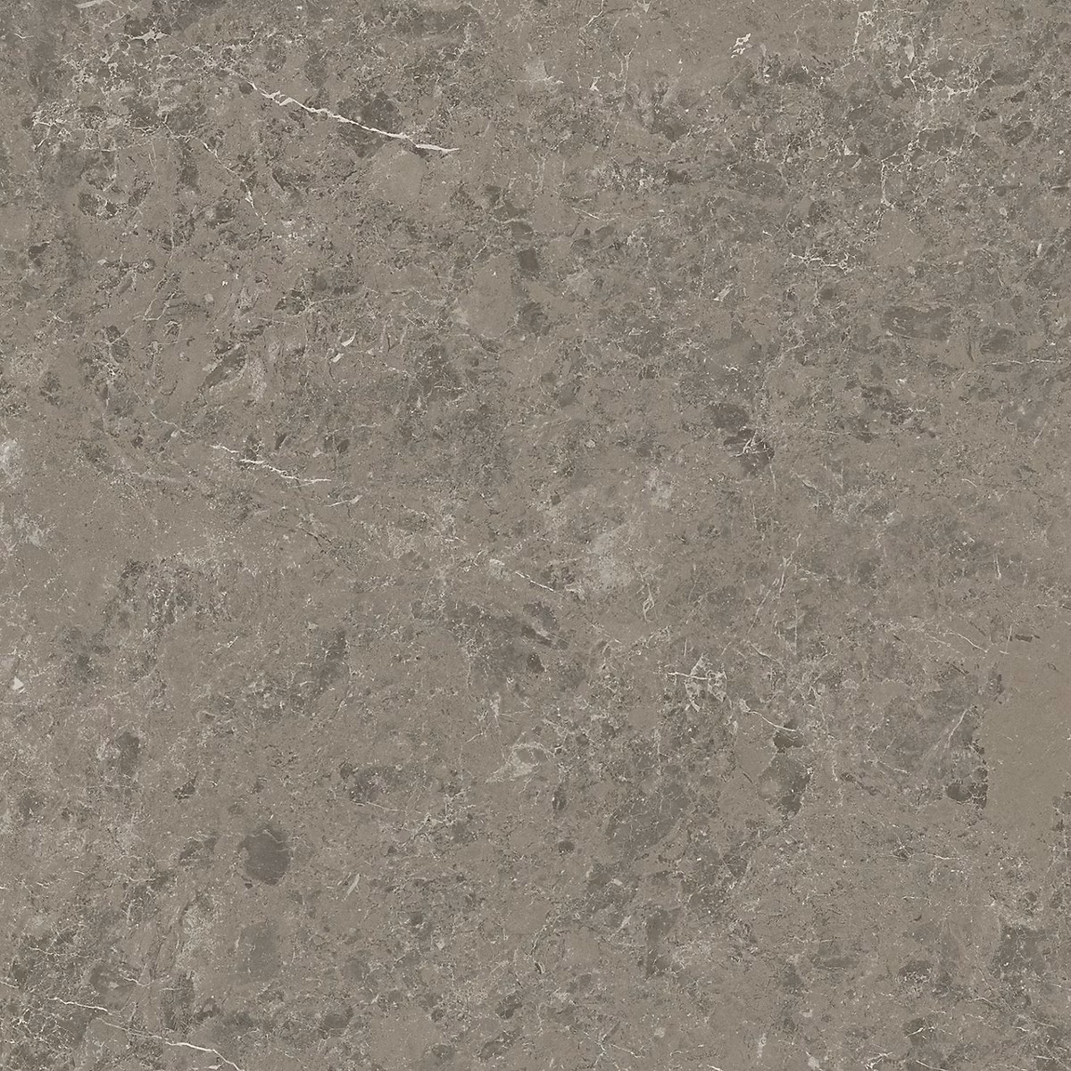 Carrelage effet Marbre Gris Impérial 60x60x0 | 9 cm Mat Orsiano – Sol et mur intérieur (vendu par carton de 1 – 08 m²) – RO'MA CARRELA