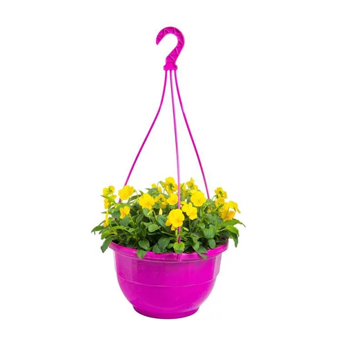 Viola Cornuta. La suspension de 28 cm