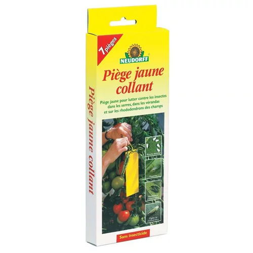 Piège jaune collant