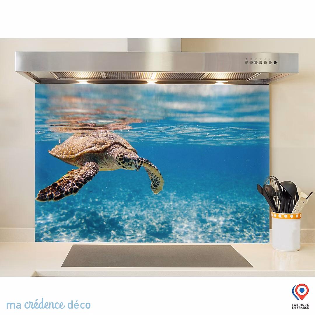 Crédence cuisine fond de hotte Tortue marine aux Seychelles – Verre trempé, L 60 cm x H 45 cm, MaCrédenceDéco