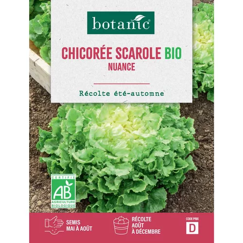 Graines de Chicorée scarole nuance bio botanic® - graines à semer