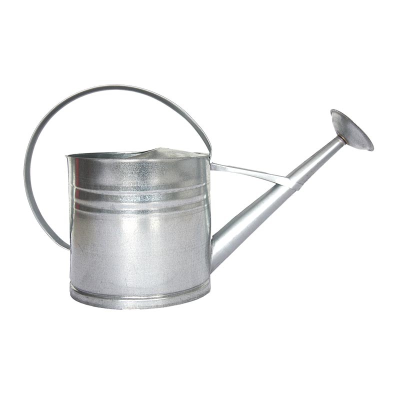 Arrosoir zinc 10L