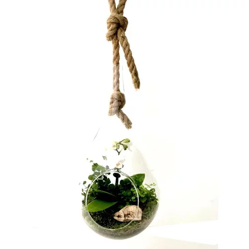 Terrarium Drop en verre transparent à suspendre Naturalys taille L - Ø 20 x 40 cm