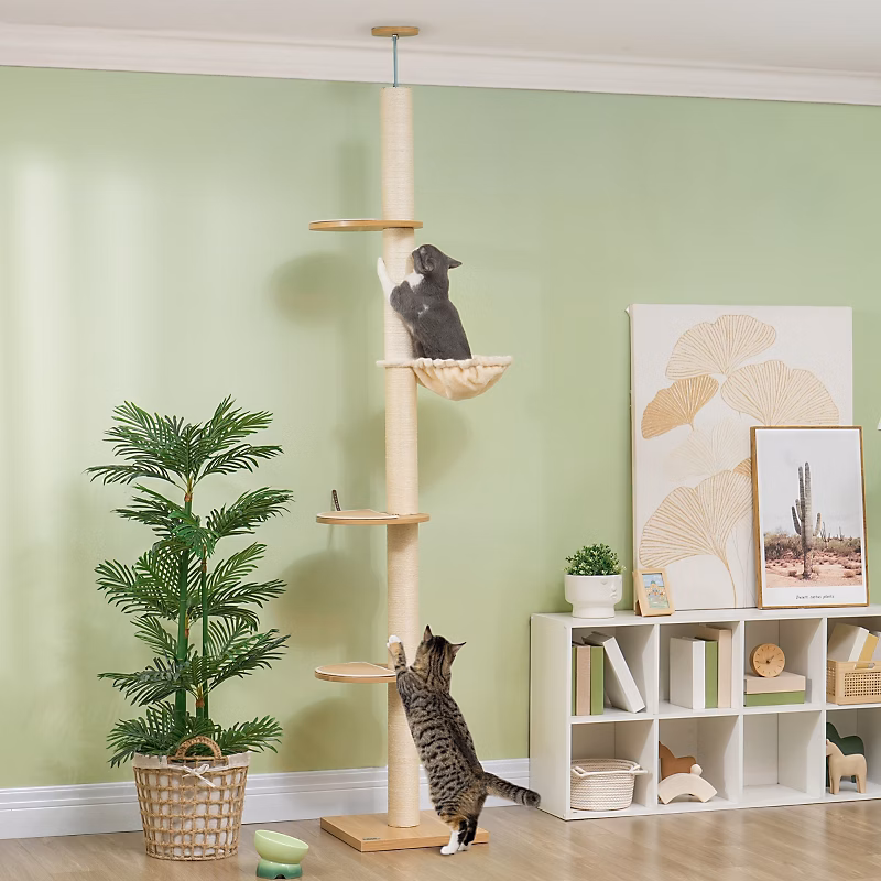 Arbre à chat hauteur plafond en bois effet chêne avec poteaux en sisal | Chat