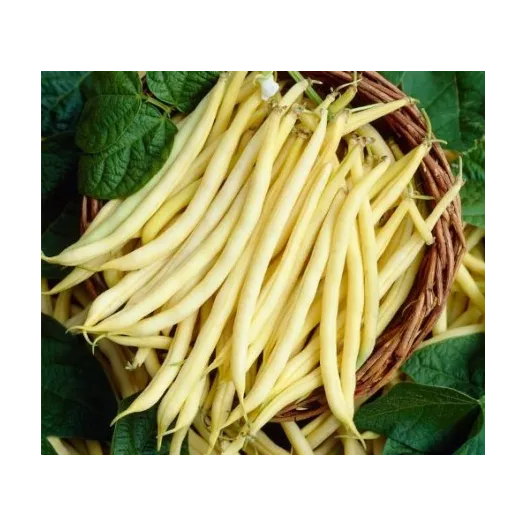 Boterboon Dior