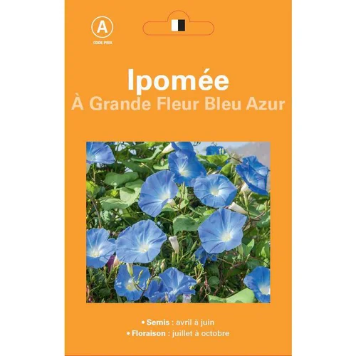 Graines de Ipomée à grande fleur bleu Azur - graines à semer