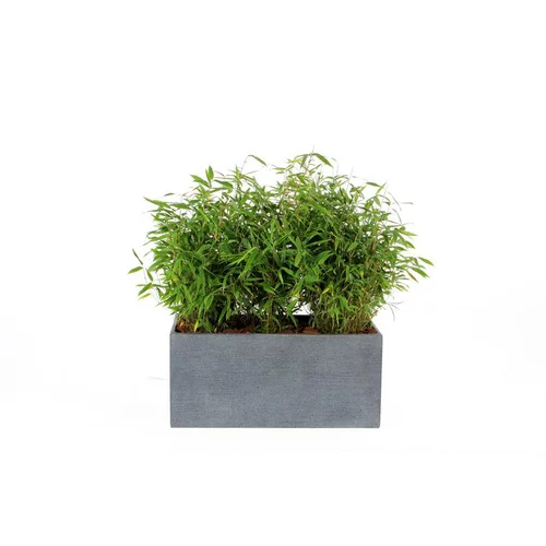 Bac rectangle Stream S/3 anthracite H.30 cm