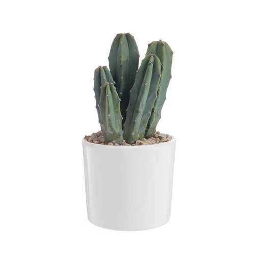 Cactus en pot émaillé blanc Ø 10 cm