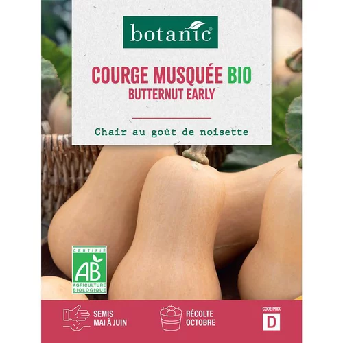Graines de courge musquée butternut early bio botanic® - graines à semer
