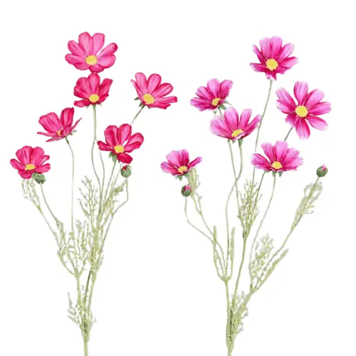 Tige de cosmos à 6 fleurs et 2 boutons rose - 92 cm