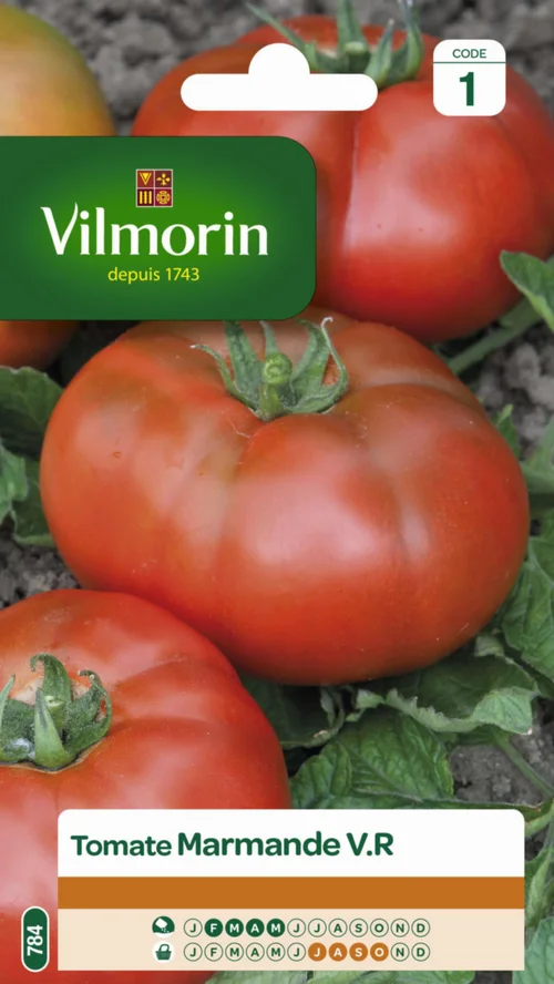 Tomate Marmande VR Vilmorin - graines à semer