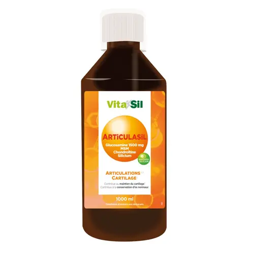 Articulasil MSM 2,0 buvable 1 L