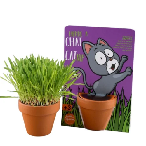 Kit de plantation herbe à chat carte nature chat Radis et Capucine