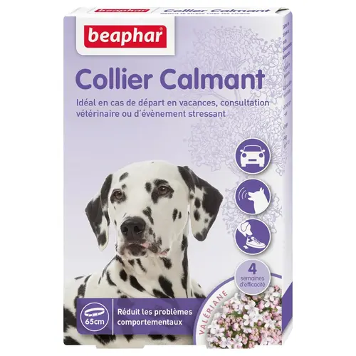 Collier calmant pour chien