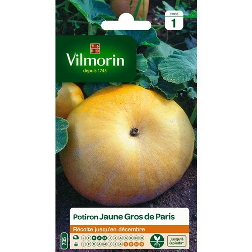 Graines de potiron jaune gros de Paris Vilmorin - graines à semer