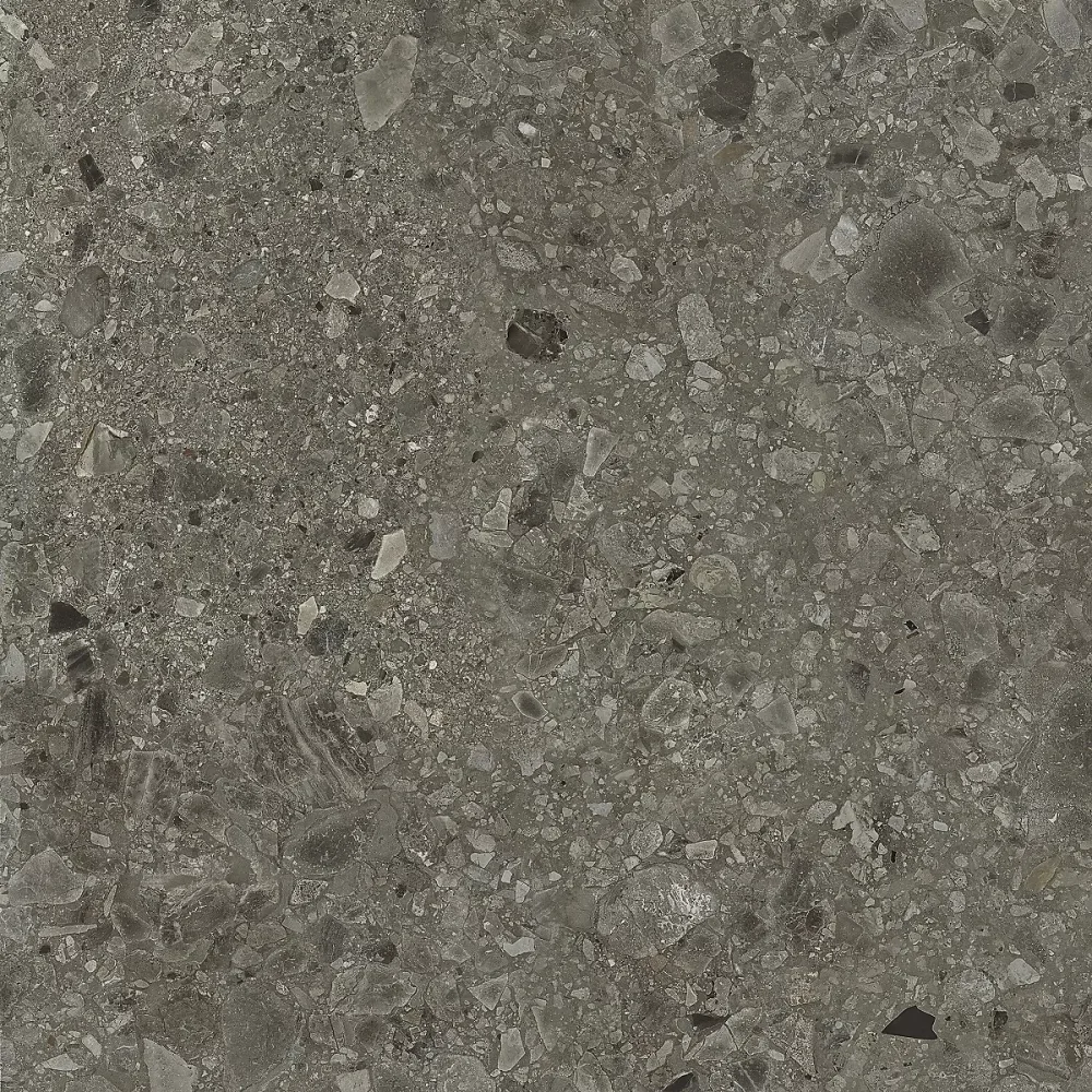 Carrelage Aspect terrazzo Berma noir R-11 60 × 60 cm