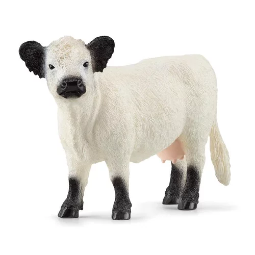 Vache Galloway multicolore Schleich - 13.3 cm