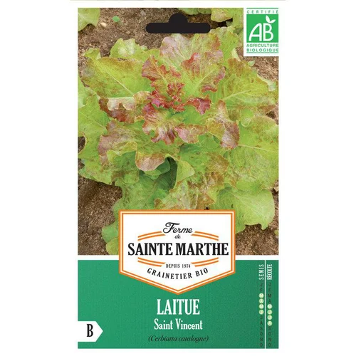 Graines de Laitue Saint Vincent bio Ferme de Sainte Marthe - 500 graines à semer