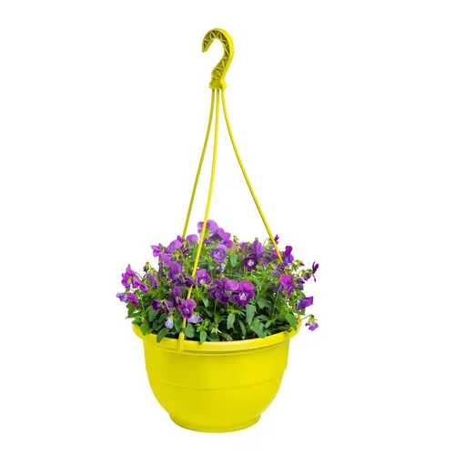 Viola Cornuta - La suspension de 27 cm
