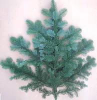 Branche de sapin Nobilis bleu pour décoration de Noël - 80/100 cm