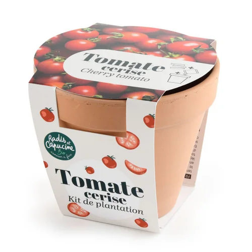 Pot en terre cuite antique avec graines de tomate cerise bio Radis & Capucine