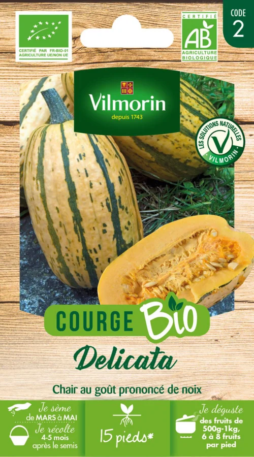 Sachet de semences potagères graine de courge delicata