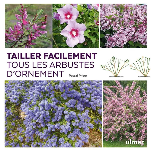 Tailler facilement tous les arbustes d'ornement aux éditions Ulmer