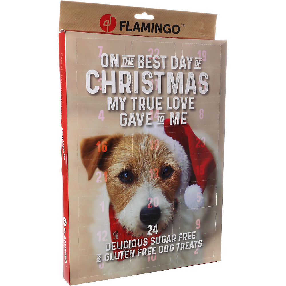 Calendrier de l'avent Noël pour chien 295 g | Chien