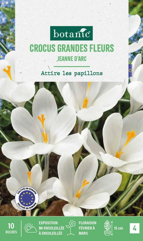 Crocus Jeanne d'Arc en mélange botanic® - 10 bulbes