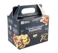 Kit de culture pour champignons pleurotes grises bio 25x20x15 cm