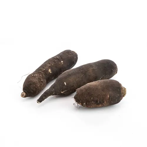 Radis noir bio - Prix au kg