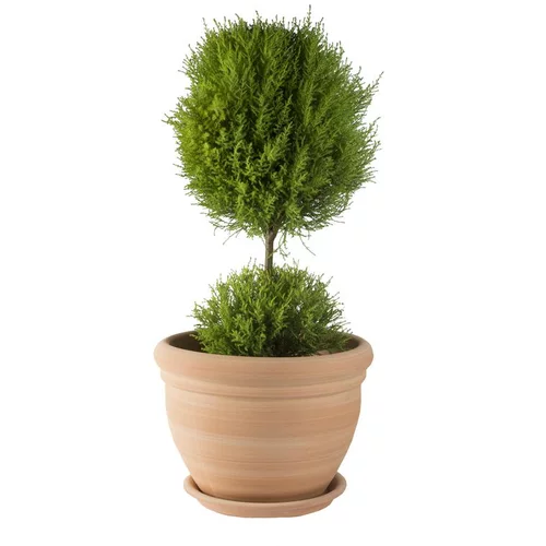Pot gamme Coco Ø 42 cm