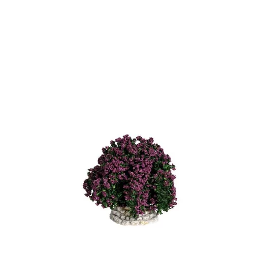 Buisson