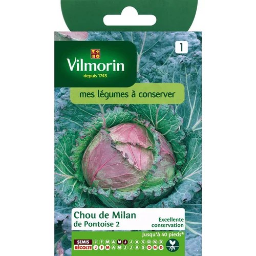 Graines de chou de Milan de pontoise Vilmorin - graines à semer
