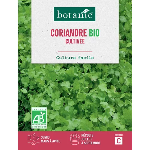 Graines de coriandre cultivée bio botanic® - graines à semer